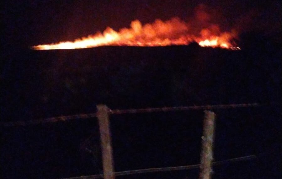 Bomberos de Tornquist y Saavedra trabajan en un incendio forestal en cercanías del Club de Pesca Tornquist