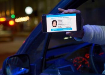 Tránsito: Autorización para circular con Licencia Digital y constancia de trámite aprobado
