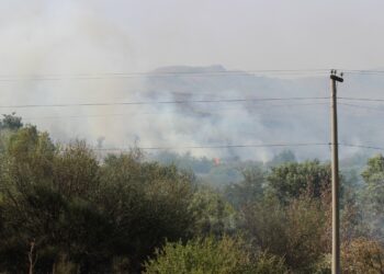 Los bomberos combaten un incendio en la zona serrana (VIDEO Y FOTOS)