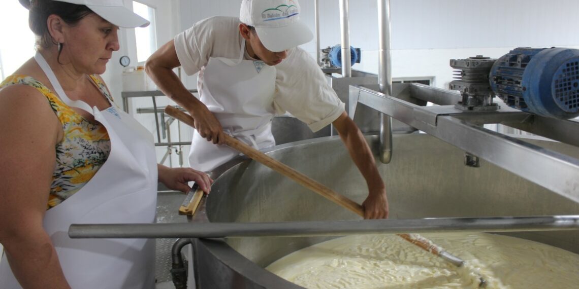 Comenzó la producción del emprendimiento “El Balcón del Arroyo”.