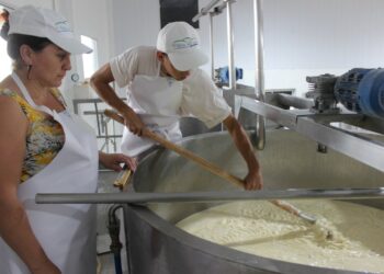 Comenzó la producción del emprendimiento “El Balcón del Arroyo”.