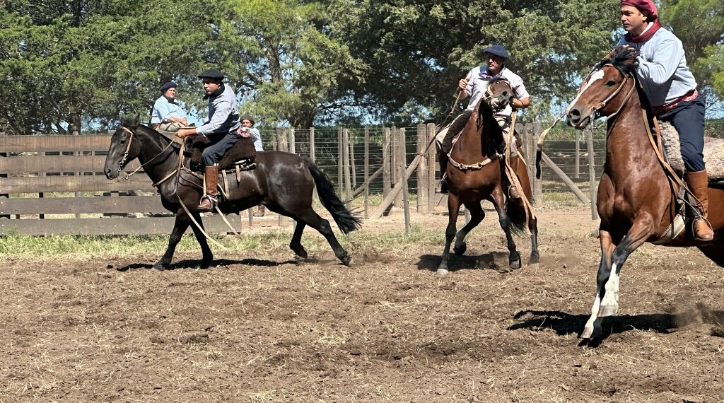 Todos los resultados de la doble jornada de Aparte Campero