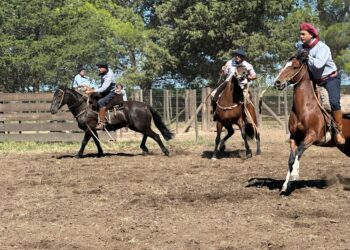 Todos los resultados de la doble jornada de Aparte Campero
