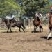 Todos los resultados de la doble jornada de Aparte Campero