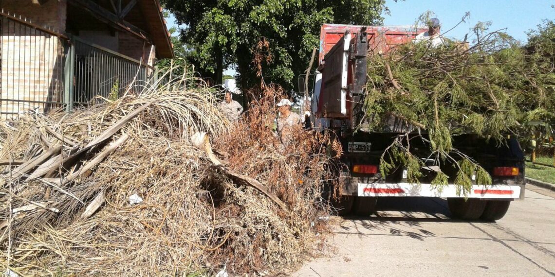Funcionamiento del servicio de recolección de ramas y escombros en Tornquist