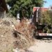 Funcionamiento del servicio de recolección de ramas y escombros en Tornquist
