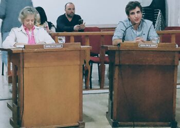 HCD: Informe de la sesión ordinaria del 20-03-24