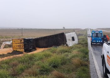 Volcó un camión en el km. 37 de la Ruta 33