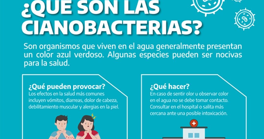 Alerta naranja por la presencia de cianobacterias en el Dique Paso de las Piedras