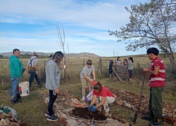 Ambiente desarrolló un espacio educativo de Huerta Agroecológica en la EP Nº 10
