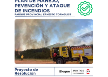 PROYECTOS PRESENTADOS EN CONJUNTO, BLOQUE JUNTOS-UCR Y LA LIBERTAD AVANZA