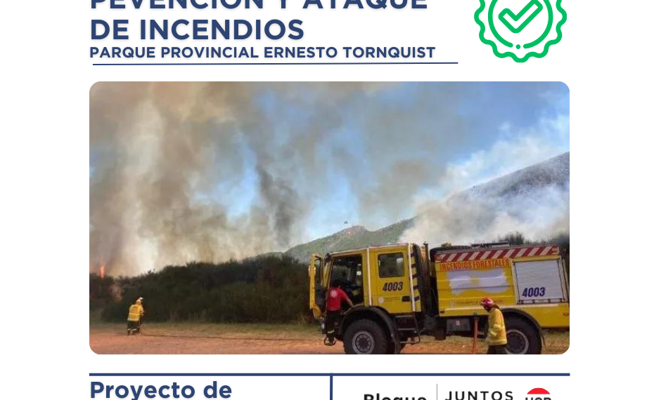 PROYECTOS PRESENTADOS EN CONJUNTO, BLOQUE JUNTOS-UCR Y LA LIBERTAD AVANZA