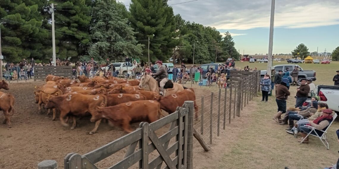 Expo Rural de Tornquist: “Los del Hueco” clasificaron a la final de Palermo (Videos y fotos)