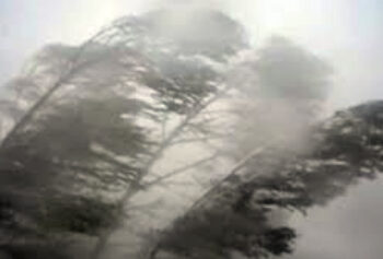 Emiten una alerta amarilla por vientos para gran parte de la región