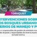 Jornada sobre “Intervenciones en los bosques urbanos”