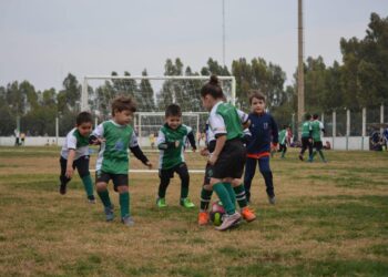 El Semillero Verde tuvo su primer encuentro en casa