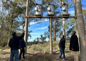 La CELT. realizó la conexión de tres reguladores de tensión en cercanías de Villa Ventana