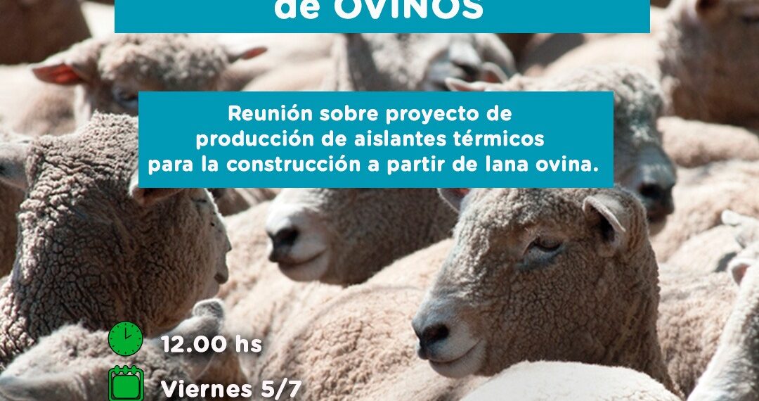 Convocatoria a productores ovinos de Tornquist y la región