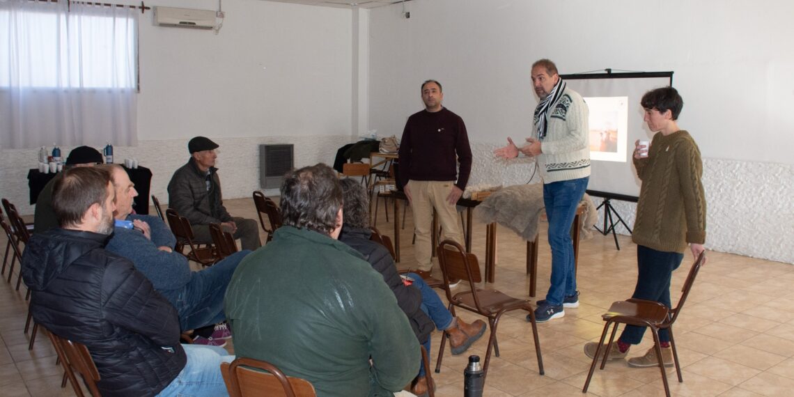 Se presentó el proyecto de reciclado de lana para la producción de aislantes térmicos