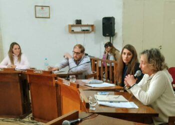 Los temas tratados por el HCD. en la sesión del día 3 de julio (fotos y videos)