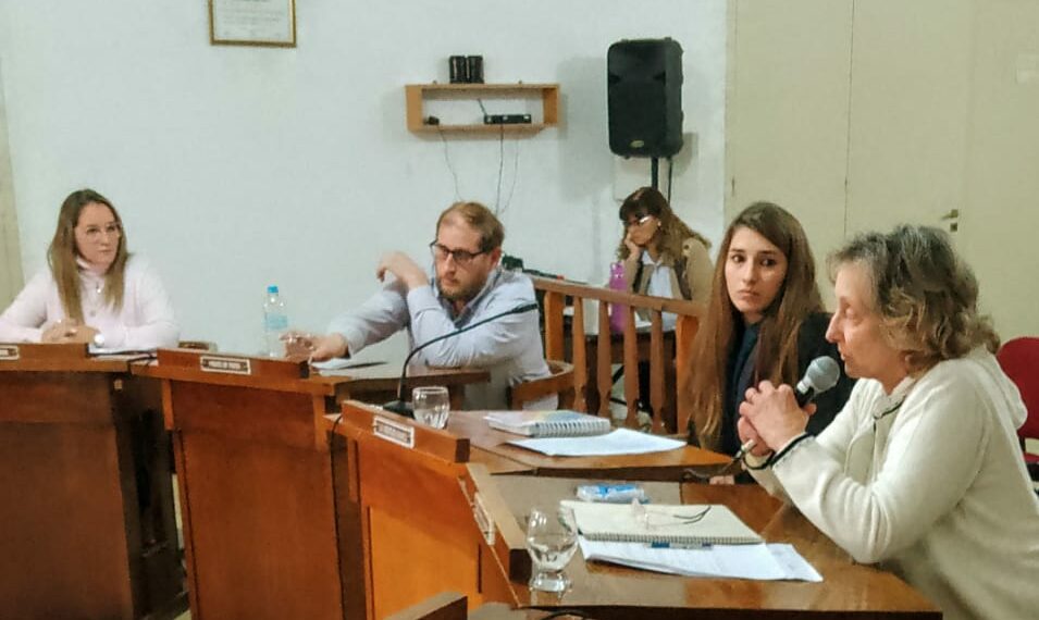 Los temas tratados por el HCD. en la sesión del día 3 de julio (fotos y videos)