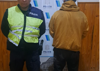 Policiales: Aprehensión por captura activa, daño y hurto esclarecidos