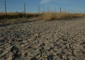 El Senado bonaerense aprobará la prórroga de dos leyes fundamentales para el Sudoeste