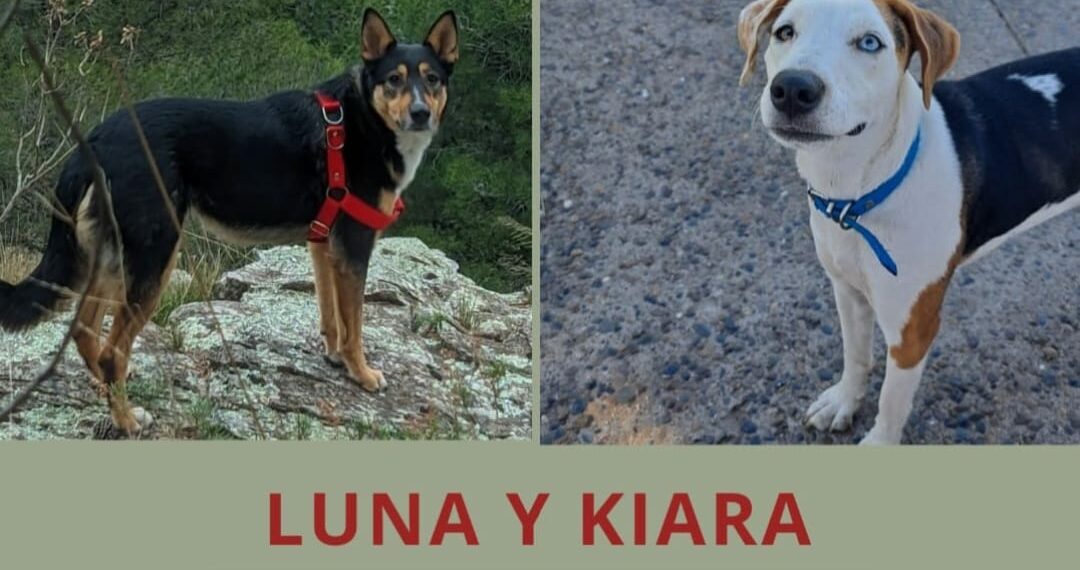 Kiara y Luna siguen sin aparecer