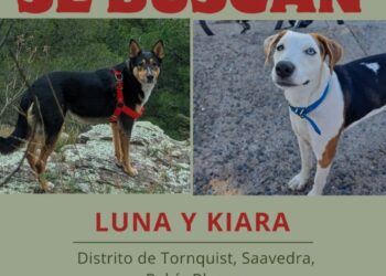 Kiara y Luna siguen sin aparecer