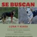 Kiara y Luna siguen sin aparecer