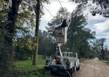 Otra importante inversión de la CELT. para continuar mejorando el servicio eléctrico