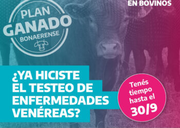 Asistencia a productores: Plan Ganado Bonaerense