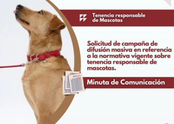 Minuta de comunicación: Tenencia responsable de mascotas