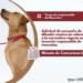 Minuta de comunicación: Tenencia responsable de mascotas