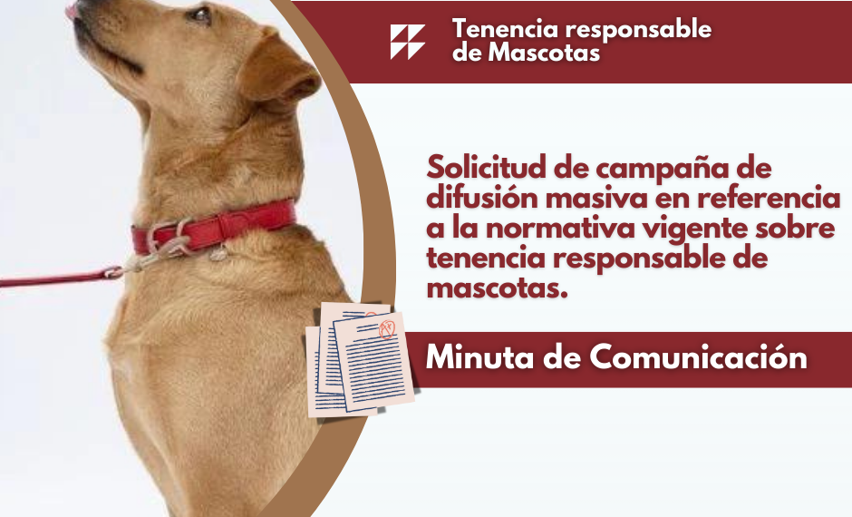 Minuta de comunicación: Tenencia responsable de mascotas