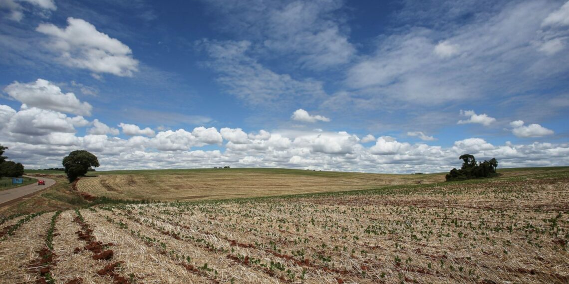 Prorrogan por cinco años dos leyes fundamentales para el Sudoeste Bonaerense