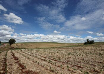 Prorrogan por cinco años dos leyes fundamentales para el Sudoeste Bonaerense