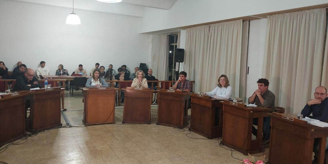 HCD,: Informe de la última sesión y las alocuciones de los concejales (videos y fotos)