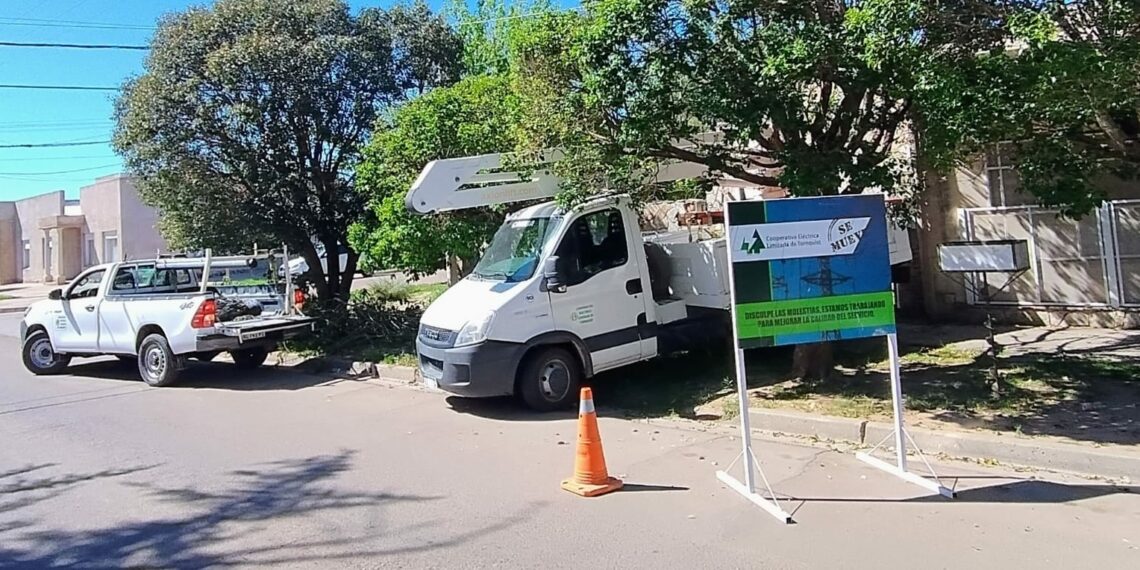 CELT avanza en la mejora de servicios y la atención al usuario