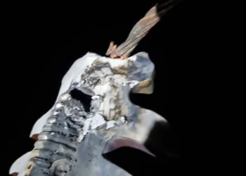 La rotura de un aislador en la línea troncal provocó un corte de energía en la ciudad de Tornquist