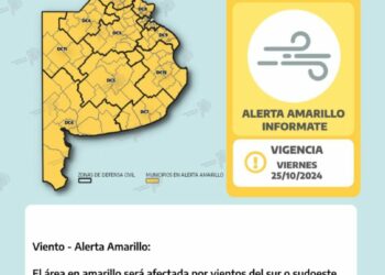 Vientos de hasta 80 km/h: nuevo alerta amarillo para toda la región