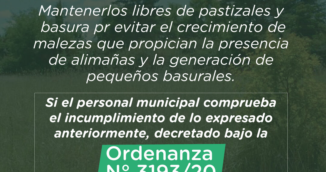 Solicitan mantener los terrenos baldíos libres de pastizales y basura