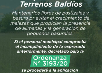 Solicitan mantener los terrenos baldíos libres de pastizales y basura
