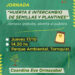 Tornquist: Se viene una jornada de huerta e intercambio de semillas y plantines