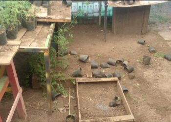 DAÑOS EN LA HUERTA DEL COLEGIO NUESTRA SRA. DE LUJAN: “QUÉ LINDO DAR UNA VUELTA DE ROSCA Y EMPEZAR DE NUEVO…”