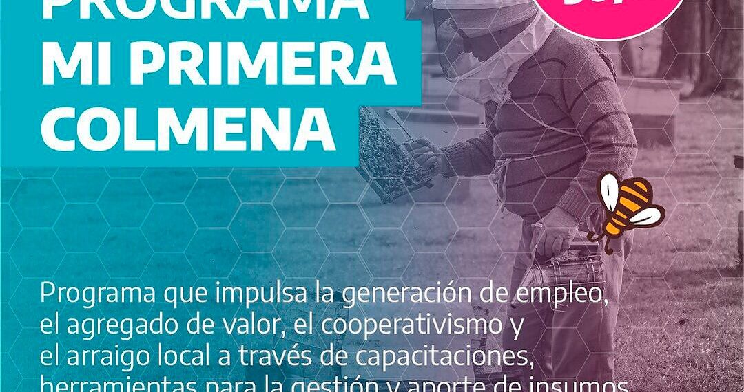 Producción apícola: Nueva convocatoria al programa ‘Mi primer colmena’