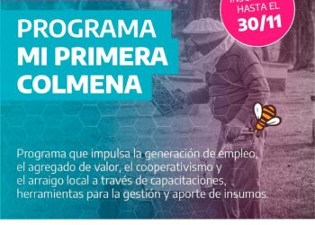 Producción apícola: Nueva convocatoria al programa ‘Mi primer colmena’
