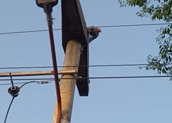 CELT Informa: Corte de energía en la ciudad