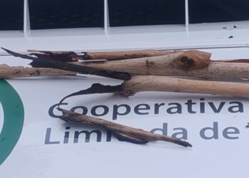 CELT. Informa: Esta tarde hubo un corte energía en la zona serrana