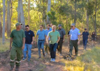 Tornquist fue sede de una capacitación de medios aéreos en incendios forestales